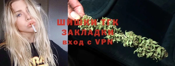 спиды Богородск