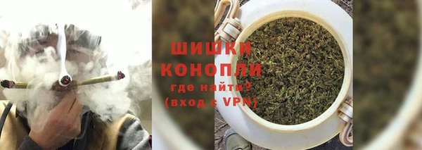 спиды Богородск