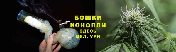 гашик Белоозёрский