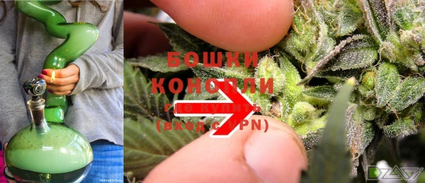 прущая мука Богданович