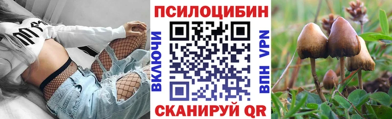 как найти закладки  Кирово-Чепецк  Псилоцибиновые грибы Psilocybine cubensis 